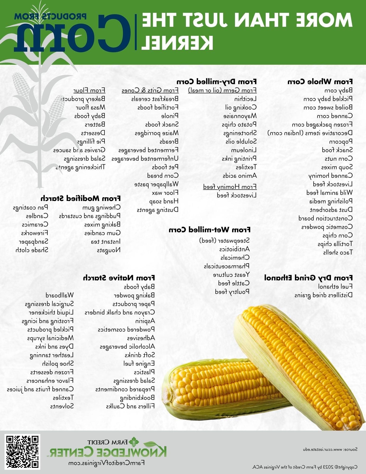 More than just the products from corn infographic